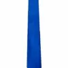 Royal Blue Tie
